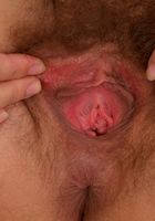 ATK Archives: Agnes (Agnes in)