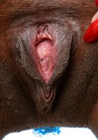 ATK Exotics: Alexis Avery (Alexis Avery in black women)