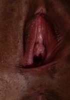 ATK Exotics: Alexis Tae (Alexis Tae in black women)