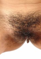 Ambar in amateur, Ambar (amb038) ATK Exotics: Ambar (Ambar in amateur)
