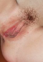 Ariel in upskirts and panties, Ariel (ari008) ATK Exotics: Ariel (Ariel in upskirts and panties)