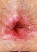 ATK Petites: Asia Rivera (Asia Rivera Upskirt Spreads)