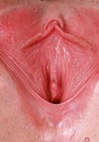 ATK Galleria: Athena Heart (Athena Heart Super Pink Pussy Spreads)