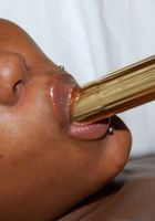 ATK Exotics: Atlanta (Atlanta in toys)