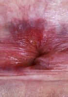 ATK Galleria: Avery Wilds (Avery Wilds Ripped Jeans Pink Pussy Spreads)