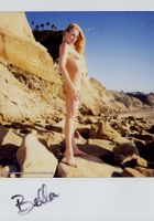 ATK Premium: Bella (Bella in hardcore)