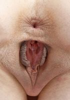 Brea from ATK Galleria