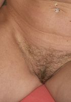 ATK Archives: Cecilia (Cecilia in amateur)