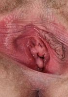 ATK Natural & Hairy: Claire Daze (Claire Daze in young and hairy)