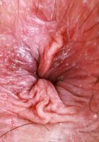 ATK Petites: Annabelle Lee (Annabelle Lee is on a pink top and jeans today)