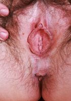 ATK Petites: Annabelle Lee (Annabelle Lee comes on strong)