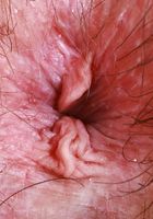 ATK Natural & Hairy: Annabelle Lee (Annabelle Lee comes on strong)