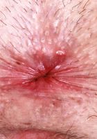 ATK Galleria: Daydream Daisy (Daydream Daisy is a flower in bloom)