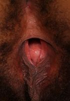 ATK Exotics: Diana (Diana in amateur)