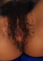 ATK Exotics: Diana (Diana in amateur)