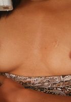 Diana from ATK Exotics