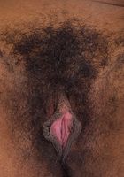 Divine from ATK Exotics