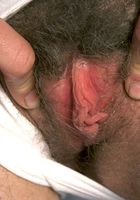 ATK Archives: Elizabeth (Elizabeth in upskirts and panties)