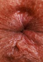 Emily Jade from ATK Galleria