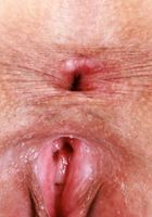 Emily Jade from ATK Galleria