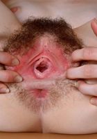 ATK Natural & Hairy: Emma Evins (Emma spreads and gapes her young furry pussy)