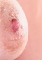 ATK Exotics: Eva (Sexy Latina Eva spreads her pink)