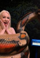 ATK Girlfriends: Gigi Sweets (ATK Girlfriends Gigi Sweets Photo Set)