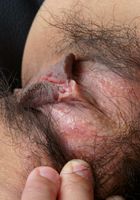 ATK Exotics: Hana (Hana in amateur)