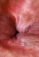 ATK Exotics: Hazel Heart (Hazel Heart looks ultra-hot in white cotton panties)