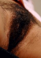 ATK Archives: Holly (Holly in)