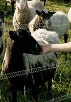 ATK Premium: Irena (Irena in candid)