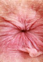 Jackie Hoff from ATK Petites