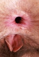 ATK Petites: Jackie Hoff (Jackie Hoff tries on some sheer lacey lingerie)