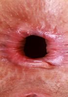 Jackie Hoff from ATK Petites