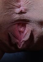 Jessica Jones from ATK Galleria