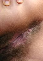 ATK Exotics: Jules (Jules in mediterranean)