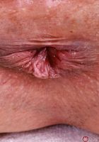 ATK Exotics: Julia James (Neon green is Julia James' color)