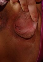 Kathleen from ATK Exotics