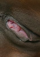 ATK Exotics: kierra (kierra in upskirts and panties)