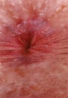 Krystal Palmer from ATK Galleria