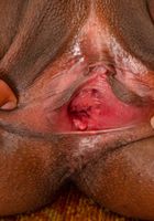 ATK Exotics: Lacey London (Lacey London Black Dress)