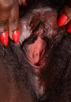 Osa from ATK Natural & Hairy