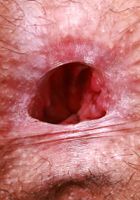 ATK Petites: Laynee James (Laynee James is a gorgeous hottie)