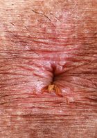 ATK Exotics: Leila Mills (It's a tiny bikini on Leila Mills)