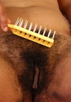 ATK Exotics: Lily (Lily in toys)