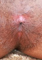 ATK Exotics: Lily Starfire (Lily StarFire Lacy Panties Spreads)