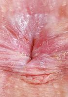 ATK Galleria: Lilibet Saunders (Lilibet Saunders Throwing Pussy and Ass)