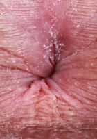 Lily Winters from ATK Galleria