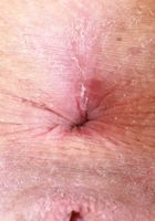 ATK Galleria: Lily Winters (Lily Winters has it going on)