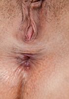 ATK Exotics: Luna Leve (Luna Leve in latinas)